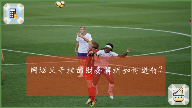 网坛父子档的财务解析如何进行?