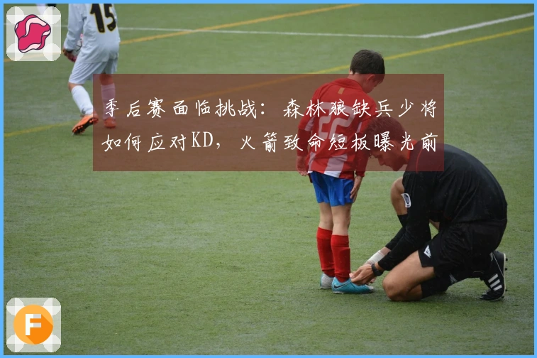 季后赛面临挑战：森林狼缺兵少将如何应对KD，火箭致命短板曝光前六之最虚弱