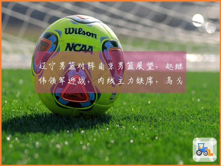 辽宁男篮对阵南京男篮展望，赵继伟领军迎战，内线主力缺席，乌戈期待年轻球员再现精彩