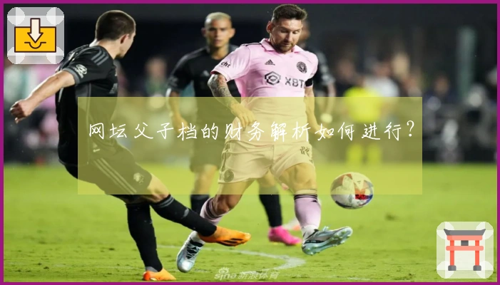 网坛父子档的财务解析如何进行？
